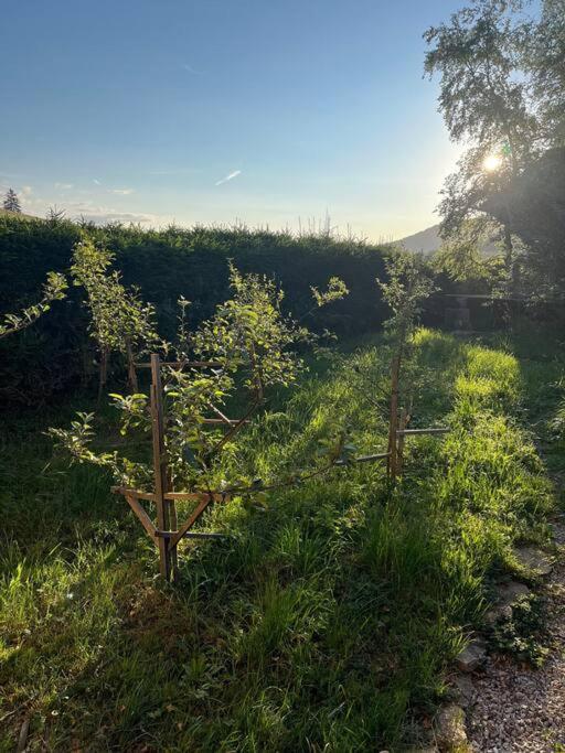Nuit Insolite - La Cabane Du Haut-Doubs Les Gras Esterno foto