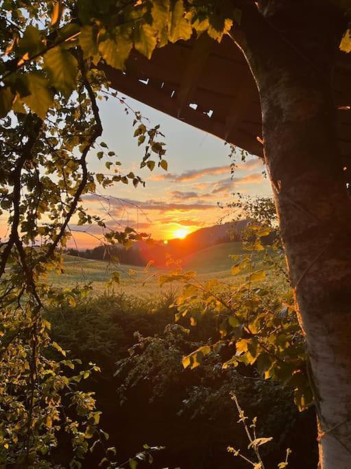Nuit Insolite - La Cabane Du Haut-Doubs Les Gras Esterno foto